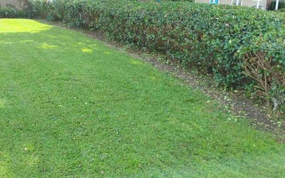 Photo of Heather B.'s yard after getting tree care in Montgomery, AL