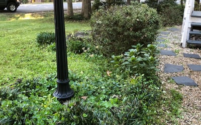 Photo of Matthew S.'s yard after getting landscaping in Mannboro, VA