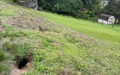 Photo of Justin J.'s yard after getting landscaping in Reading, PA