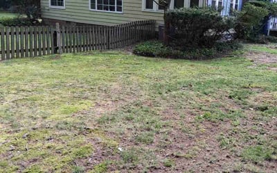 Photo of Randy S.'s yard after getting landscaping in Akron, OH