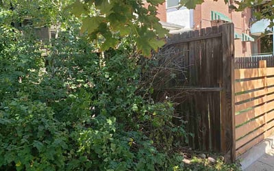 Photo of Sharon B.'s yard after getting landscaping in Idaho Springs, CO