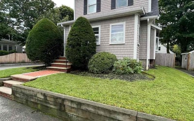 Photo of Connie H.'s yard after getting lawn care in Braintree, MA