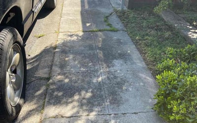 Photo of Chris W.'s yard after getting landscaping in Los Altos, CA