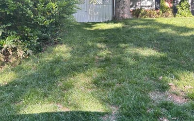 Photo of Matthew A.'s yard after getting landscaping in Gatesville, NC