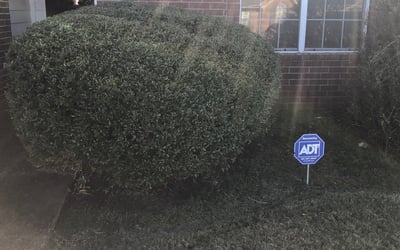 Photo of Mary R.'s yard after getting landscaping in Munford, TN