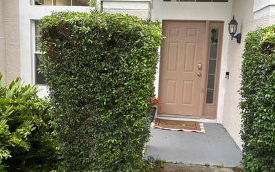 Photo of Domenic A.'s yard after getting landscaping in Oviedo, FL