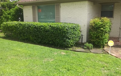 Photo of Cierra G.'s yard after getting landscaping in Krum, TX