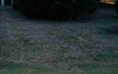 Photo of Stephen R.'s yard after getting landscaping in Mulvane, KS