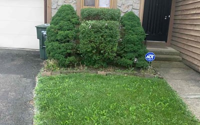 Photo of Jon T.'s yard after getting tree care in Orient, OH