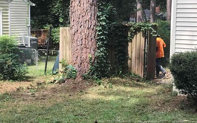 Photo of Tonya B.'s yard after getting landscaping in Camden, SC