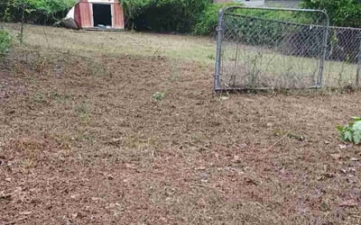 Photo of Dee T.'s yard after getting landscaping in Raeford, NC