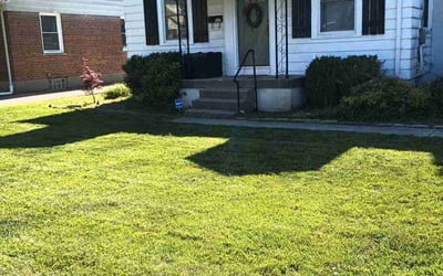 Photo of Matt R.'s yard after getting landscaping in Morning View, KY