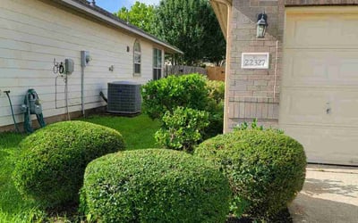 Photo of Kathy C.'s yard after getting landscaping in Katy, TX