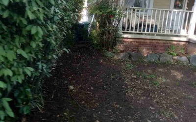 Photo of Anthony E.'s yard after getting landscaping in Hillsboro, GA