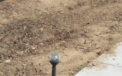 Photo of Curtis P.'s yard after getting tree care in Olivehurst, CA