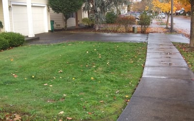 Photo of Amanda B.'s yard after getting landscaping in Gladstone, OR
