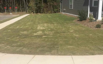 Photo of Sandra D.'s yard after getting tree care in Knightdale, NC