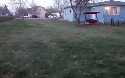 Photo of Wesley H.'s yard after getting landscaping in Somerset, OH