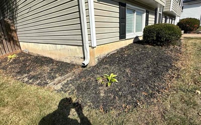 Photo of Stephanie S.'s yard after getting landscaping in Riverdale, MD