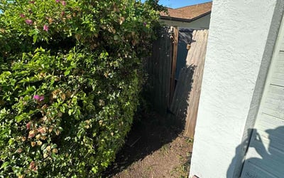 Photo of Erica F.'s yard after getting tree care in Port Richey, FL