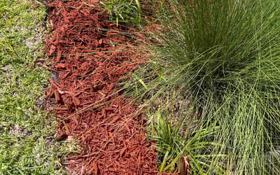 Photo of Tony S.'s yard after getting landscaping in Lake Geneva, FL