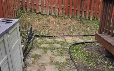 Photo of Temitope K.'s yard after getting tree care in Mount Airy, MD