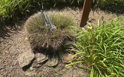 Photo of Heather L.'s yard after getting landscaping in Ooltewah, TN