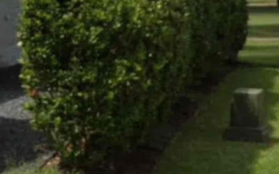 Photo of Candace T.'s yard after getting landscaping in Liverpool, TX