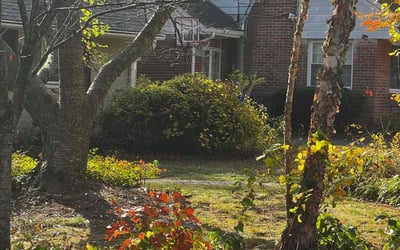 Photo of Michael L.'s yard after getting landscaping in Charles Town, WV