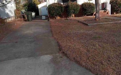 Photo of William T.'s yard after getting landscaping in Lightfoot, VA