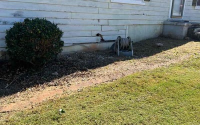 Photo of Alex G.'s yard after getting landscaping in Orchard Hill, GA