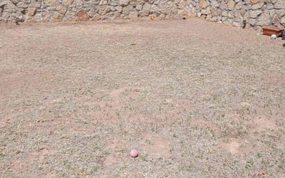Photo of Veronica C.'s yard after getting landscaping in San Elizario, TX