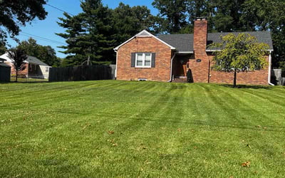 Photo of Kira C.'s yard after getting lawn care in Aberdeen, MD