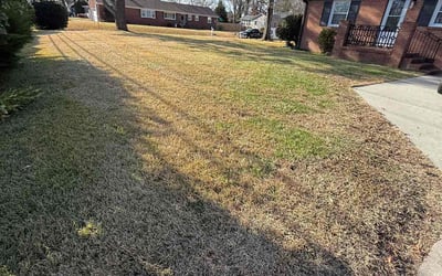 Photo of Meg C.'s yard after getting landscaping in Jamestown, VA