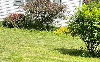 Photo of Brent H.'s yard after getting landscaping in Burton, OH