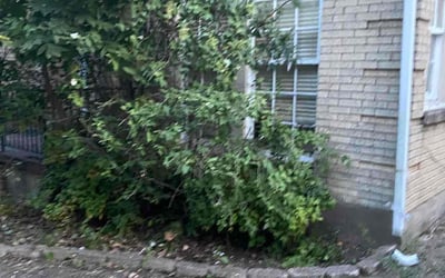 Photo of Brian H.'s yard after getting landscaping in Nevada, TX