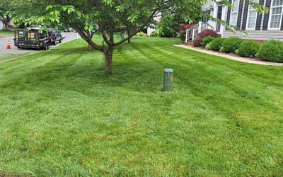 Photo of Brie D.'s yard after getting lawn care in Mechanicsville, VA