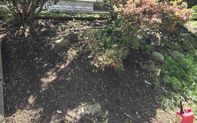 Photo of Wynchell N.'s yard after getting landscaping in Erie, PA