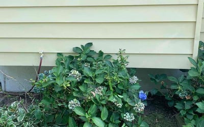 Photo of Ruth H.'s yard after getting landscaping in New Windsor, MD