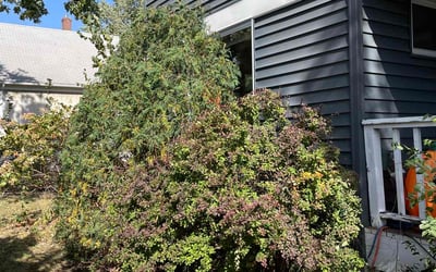 Photo of Kevin M.'s yard after getting landscaping in Afton, MN