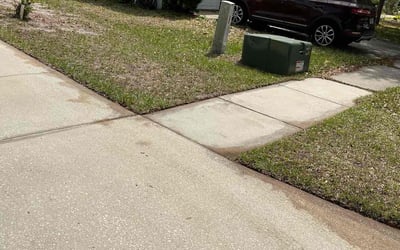 Photo of Ashley C.'s yard after getting landscaping in Nobleton, FL