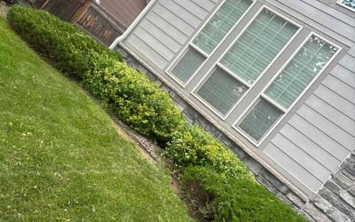 Photo of Hillary L.'s yard after getting landscaping in Georgetown, CO