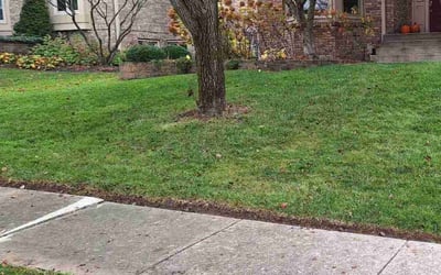 Photo of Austin M.'s yard after getting landscaping in Thorntown, IN