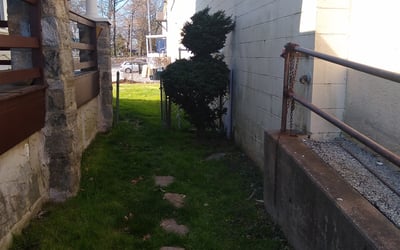 Photo of Henrietta O.'s yard after getting tree care in Broomall, PA