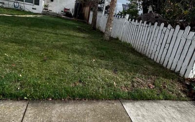 Photo of Teresa B.'s yard after getting landscaping in Los Osos, CA