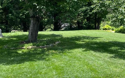 Photo of Mike B.'s yard after getting lawn care in Asheville, NC