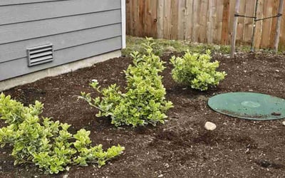 Photo of Louis R.'s yard after getting landscaping in Tenino, WA