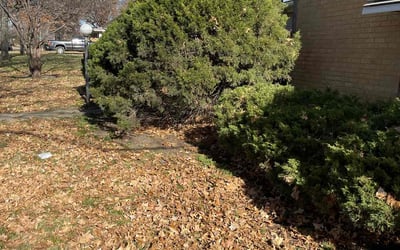 Photo of Steven R.'s yard after getting landscaping in Louisburg, KS