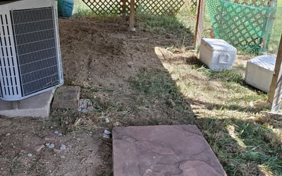 Photo of Debania C.'s yard after getting tree care in Bailey, CO