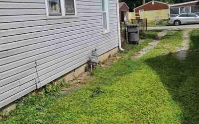 Photo of Kevin R.'s yard after getting tree care in Indianapolis, IN